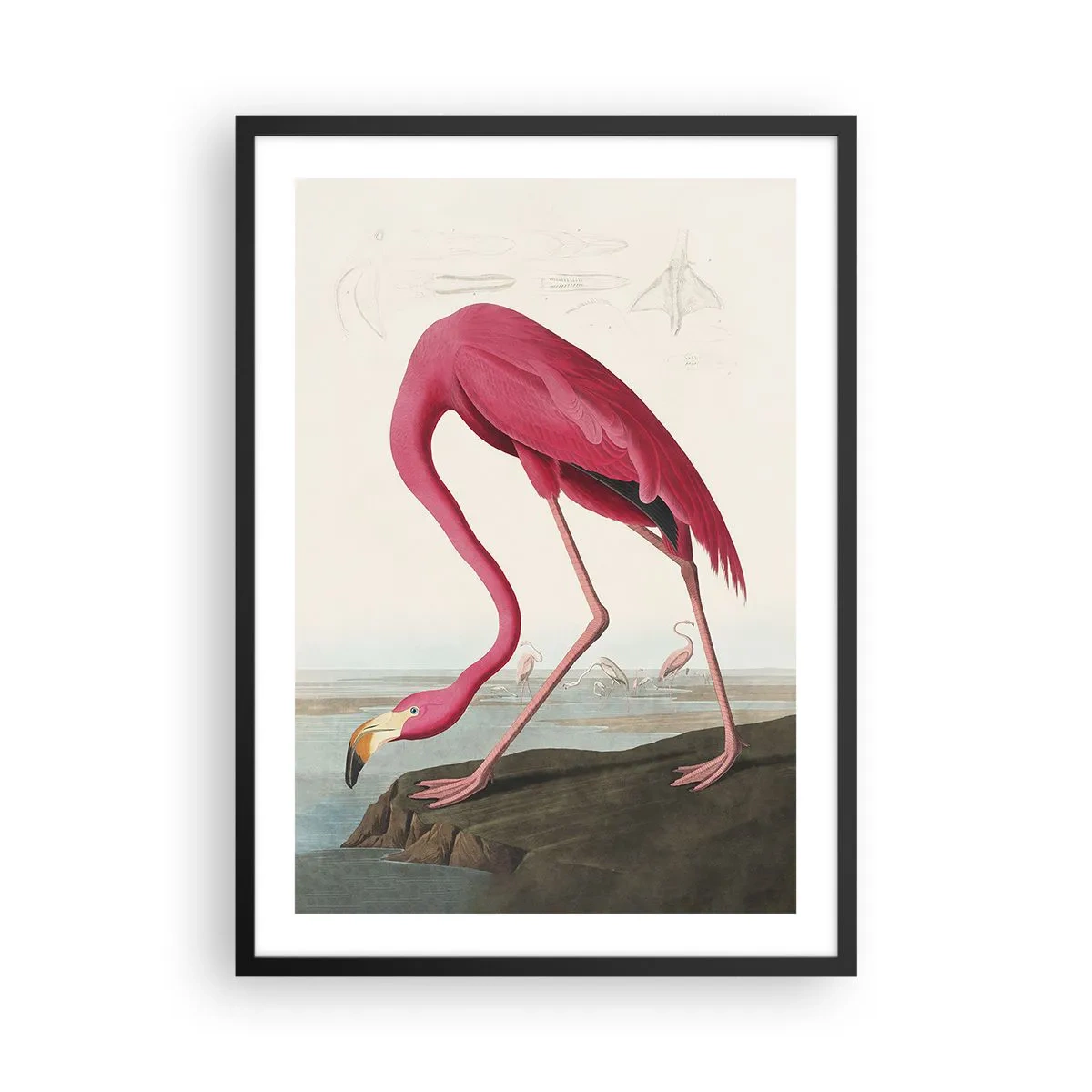 Affiche dans un cadre noir - Poster - Un flamant rose dans un paysage naturel - 50x70cm - Création étonnante - Décoration murale moderne pour le salon et la chambre ARTTOR