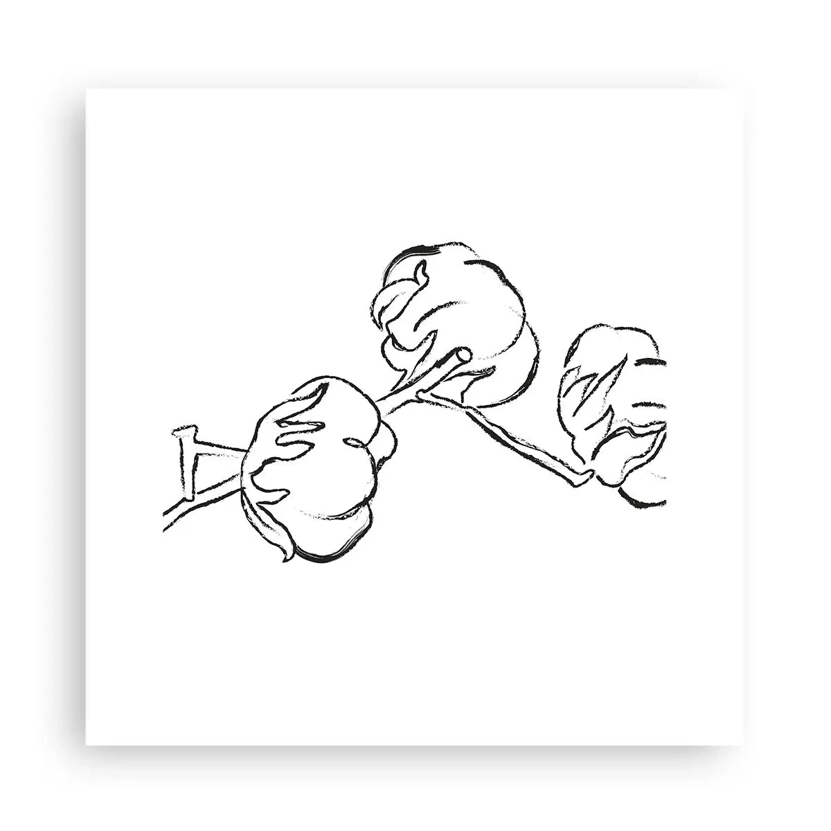Affiche - Poster - Duvet de coton - 30x30 cm