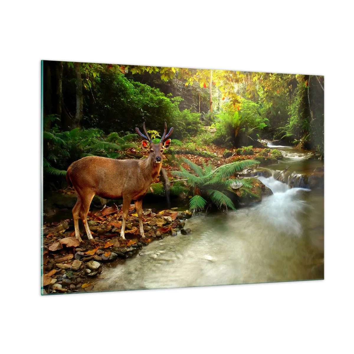 Impression sur verre - Image sur verre - Un cerf près d'un ruisseau dans une forêt ensoleillée - 100x70cm - Bienvenue dans mon monde - Décoration murale moderne pour le salon et la chambre ARTTOR