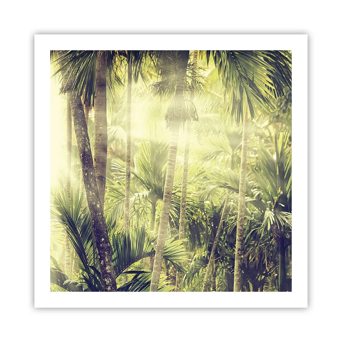 Affiche - Poster - Nature enflammée - 60x60 cm