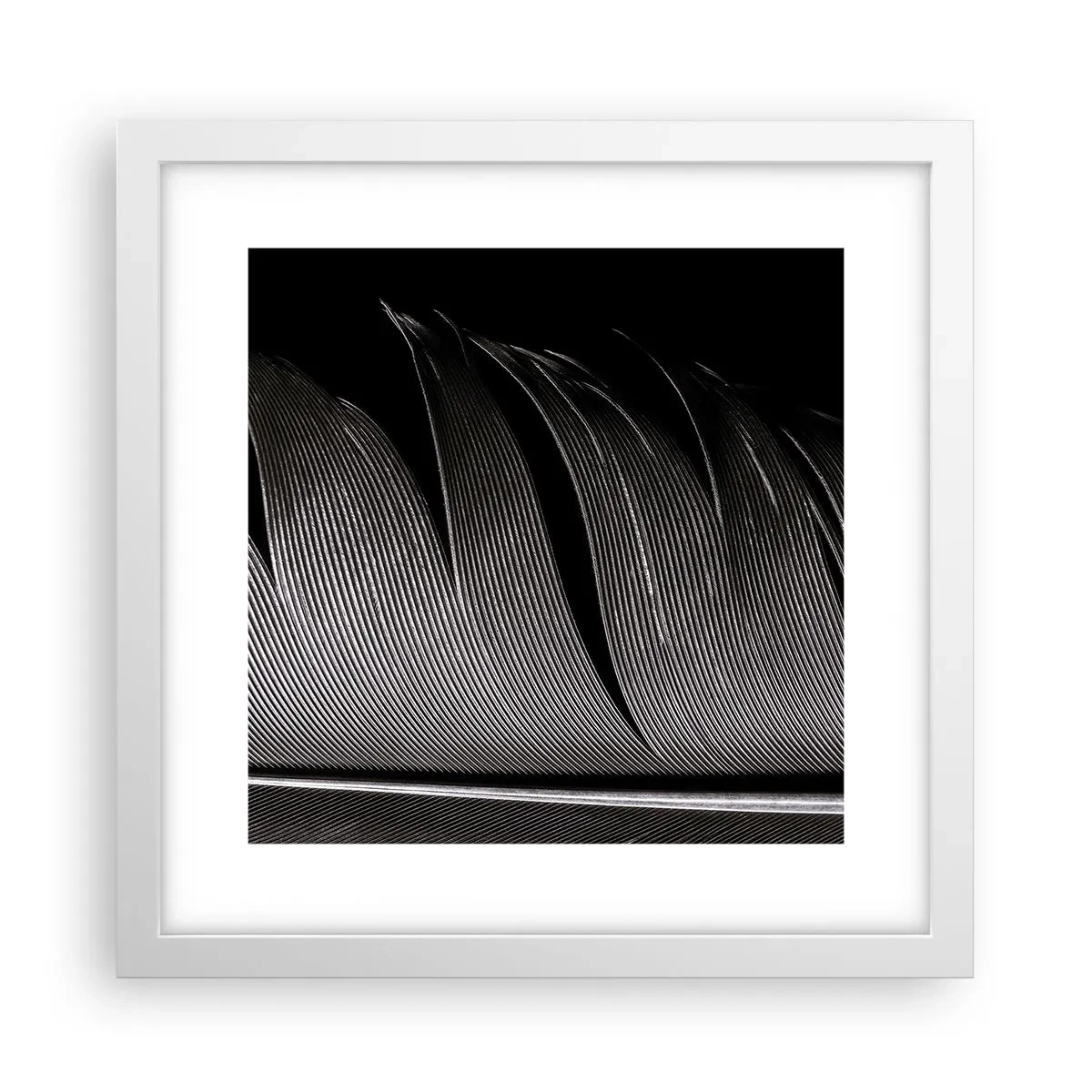 Affiche dans un cadre blanc - Poster - La plume – un design magnifique - 30x30 cm