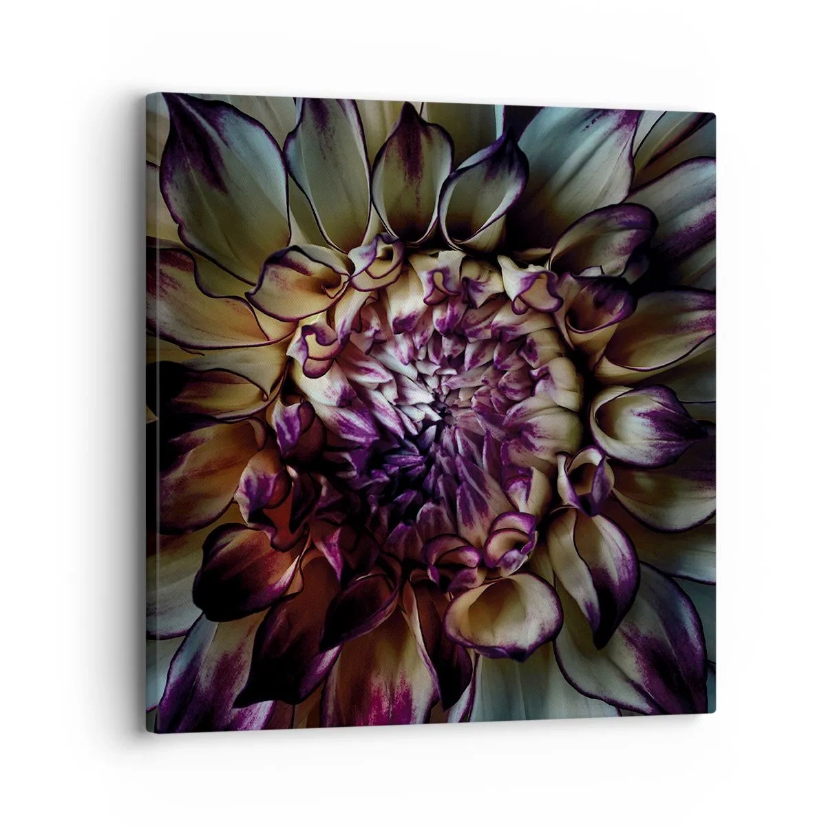 Impression sur toile - Image sur toile - L'apogée de la jeunesse - 30x30 cm