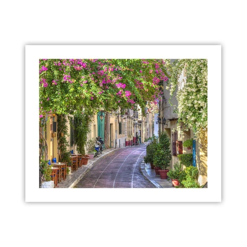 Affiche - Poster - Allée fleurie - 50x40 cm