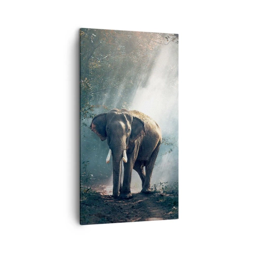 Impression sur toile - Image sur toile - Une balade tranquille - 45x80 cm