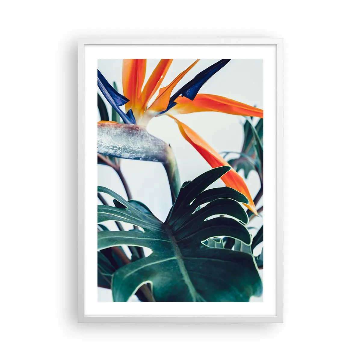 Affiche dans un cadre blanc - Poster - Le buisson oiseaux - 50x70 cm