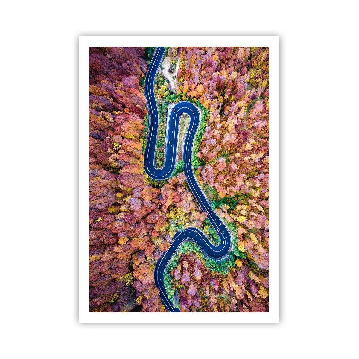 Affiche - Poster - Route sinueuse à travers la forêt - 70x100 cm