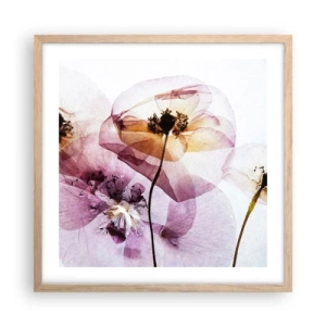Affiche dans un chêne clair - Poster - Corps de fleurs transparente - 50x50 cm