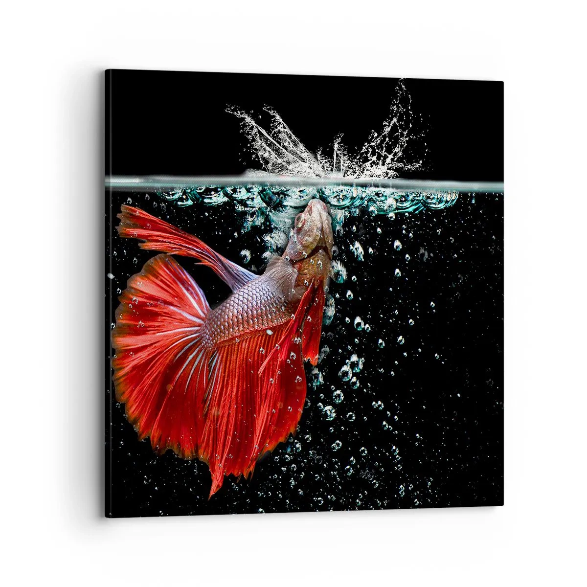 Impression sur toile - Image sur toile - Vous avez trois vœux - 70x70 cm