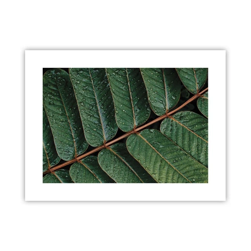 Affiche - Poster - Au rythme de la verdure - 40x30 cm