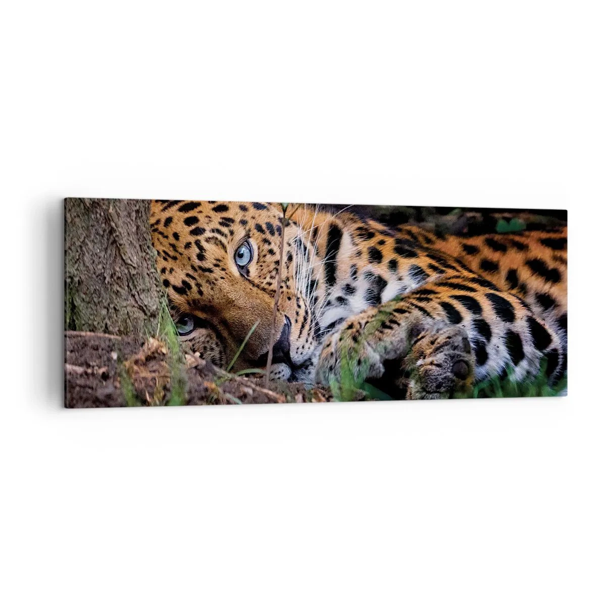 Impression sur toile - Image sur toile - Un léopard couché à l'ombre des arbres - 140x50cm - Fais-moi confiance - Décoration murale moderne pour le salon et la chambre ARTTOR