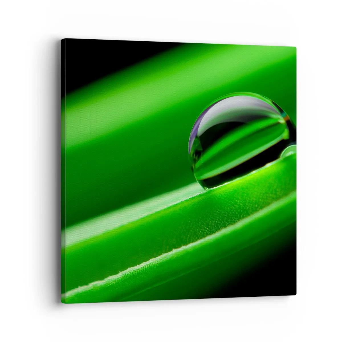 Impression sur toile - Image sur toile - La vie de près - 40x40 cm