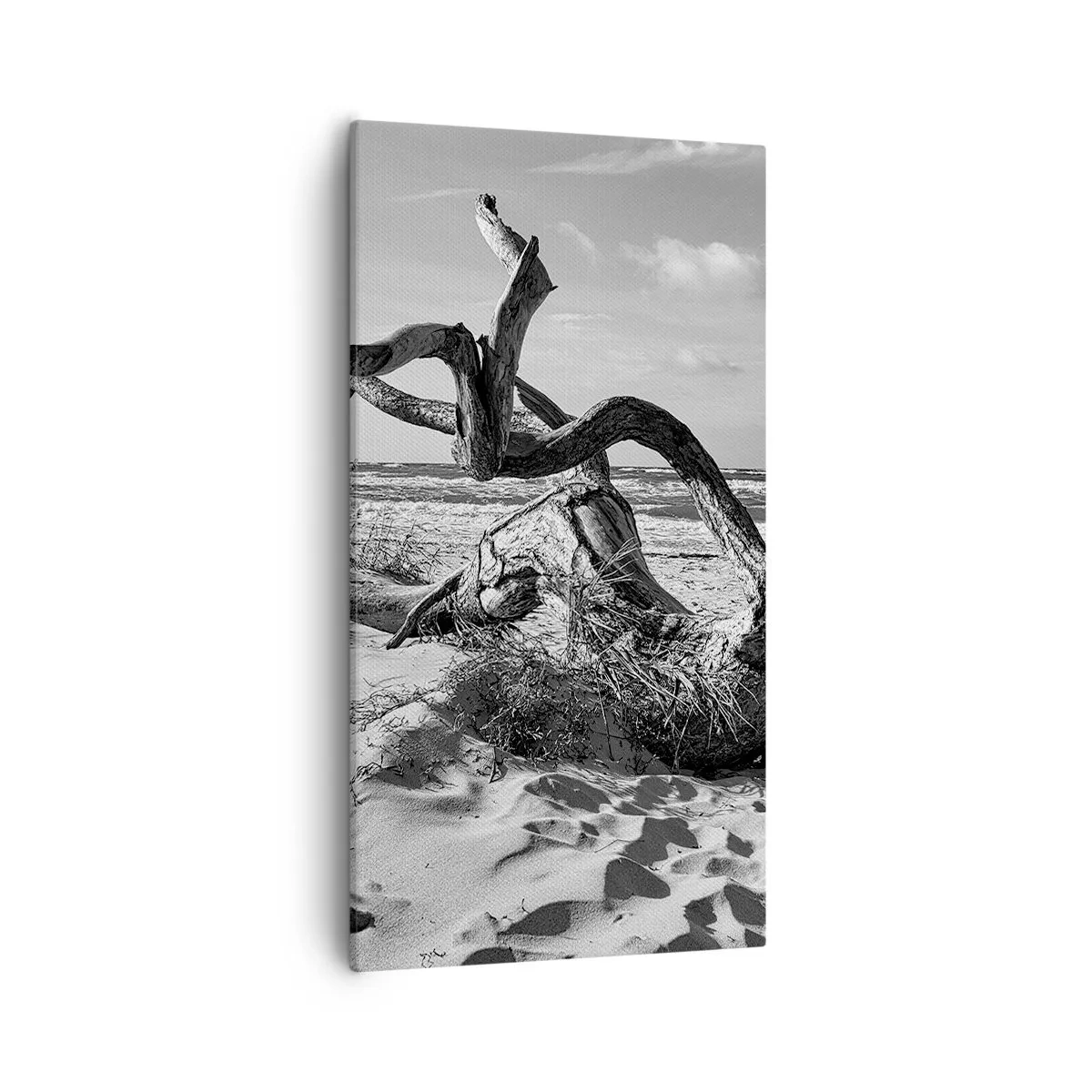 Impression sur toile - Image sur toile - Sculpture marine - 55x100 cm