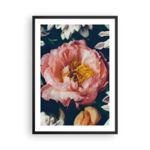 Affiche dans un cadre noir - Poster - Une fleur rose avec un centre jaune entouré d'autres fleurs - 50x70cm - Splendeur baroque - Décoration murale moderne pour le salon et la chambre ARTTOR