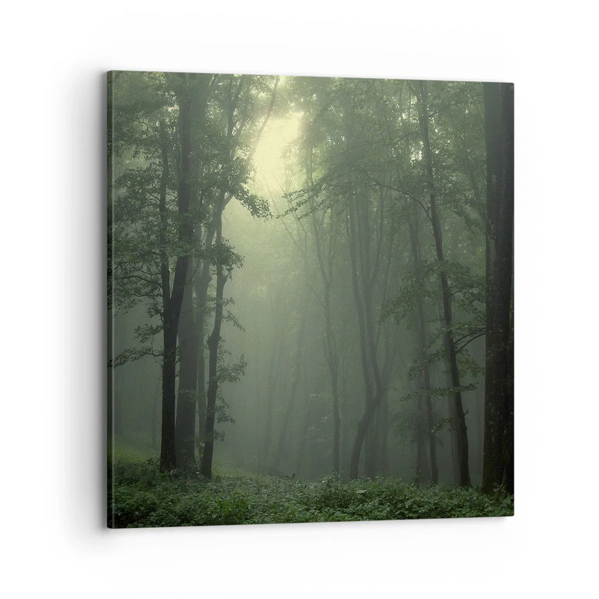 Impression sur toile - Image sur toile - Avant qu'il ne se réveille - 70x70 cm