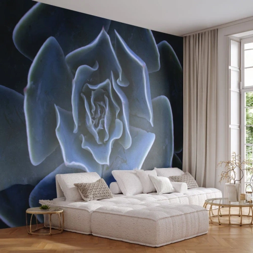 Papier Peint Photo Premium Canvas - Fleur du désert - Fleur d'agave, Fleur, Nature - 350x256 cm