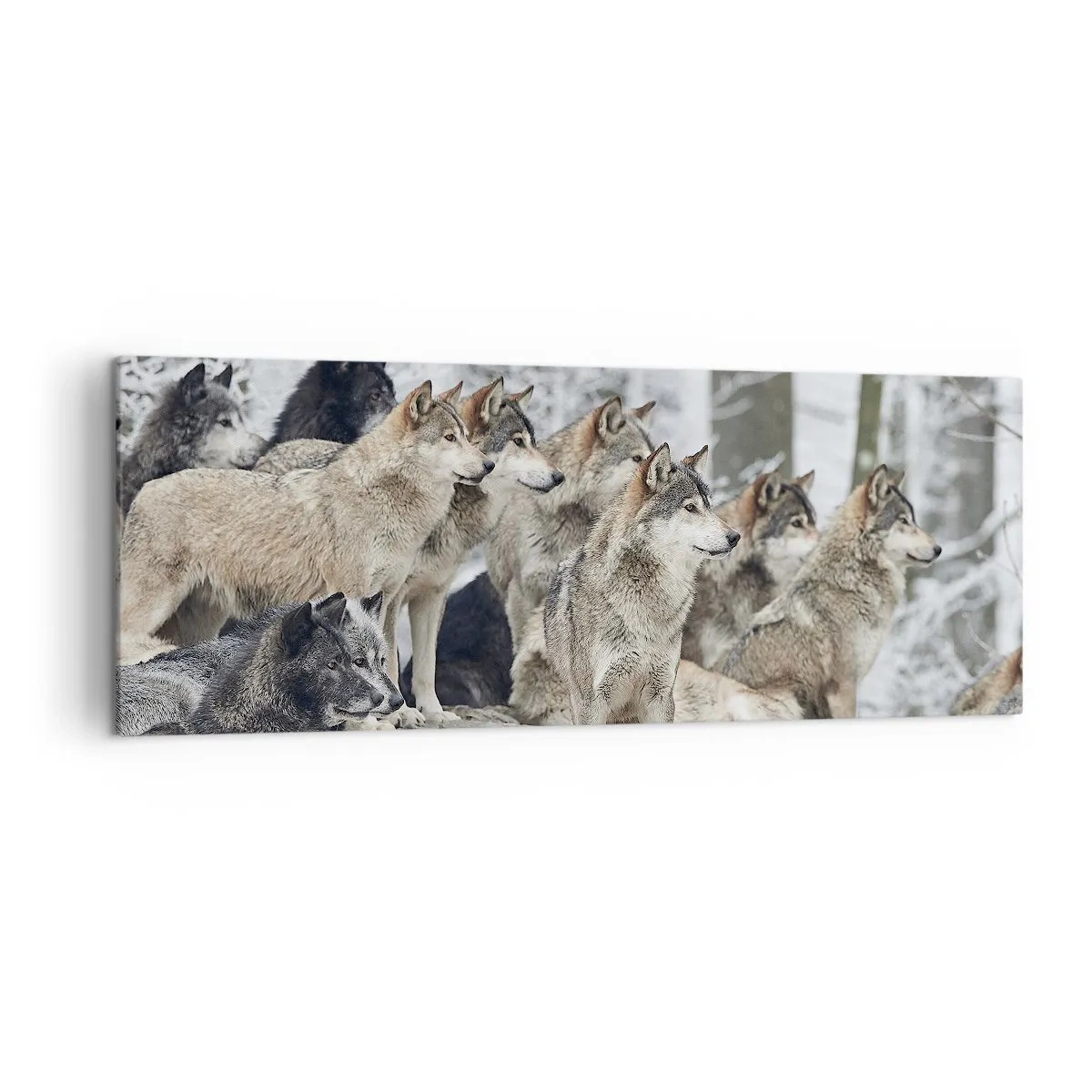 Impression sur toile - Image sur toile - Une meute de loups dans la forêt d'hiver - 140x50cm - Famille et amis - Décoration murale moderne pour le salon et la chambre ARTTOR