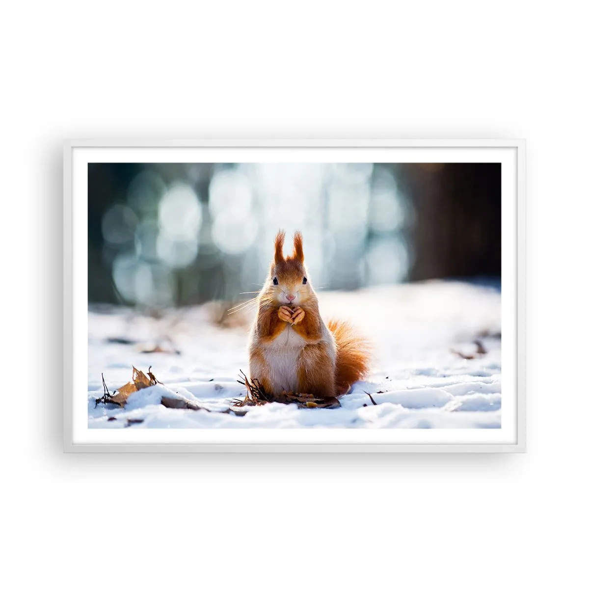 Affiche dans un cadre blanc - Poster - Qu'est ce que tu regardes comme ça? - 91x61 cm