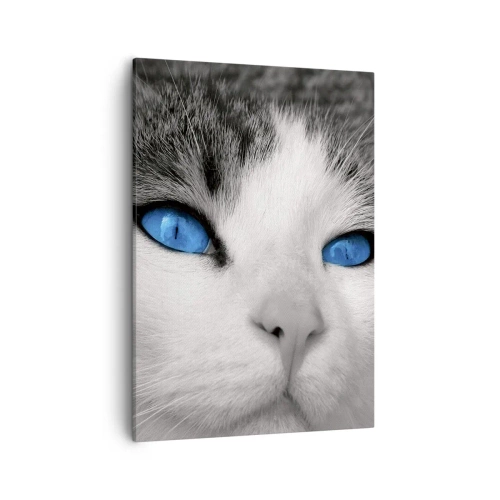 Impression sur toile - Image sur toile - Portrait d'un chat aux yeux bleus en noir et blanc - 50x70cm - Yeux bleus inhabituels - Décoration murale moderne pour le salon et la chambre ARTTOR