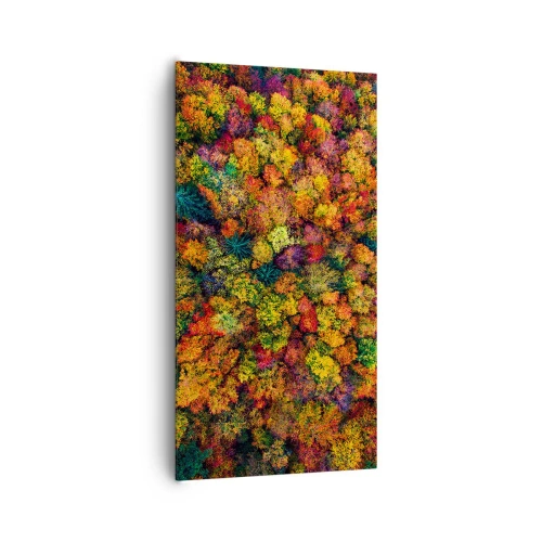 Impression sur toile - Image sur toile - Bouquet d'arbres automnal - 65x120 cm