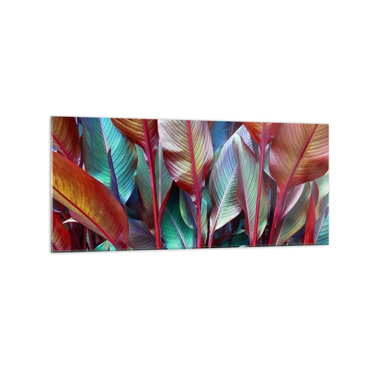 Impression sur verre - Image sur verre - Feuilles colorées de plantes tropicales dans le fourré - 120x50cm - Un fourré coloré - Décoration murale moderne pour le salon et la chambre ARTTOR