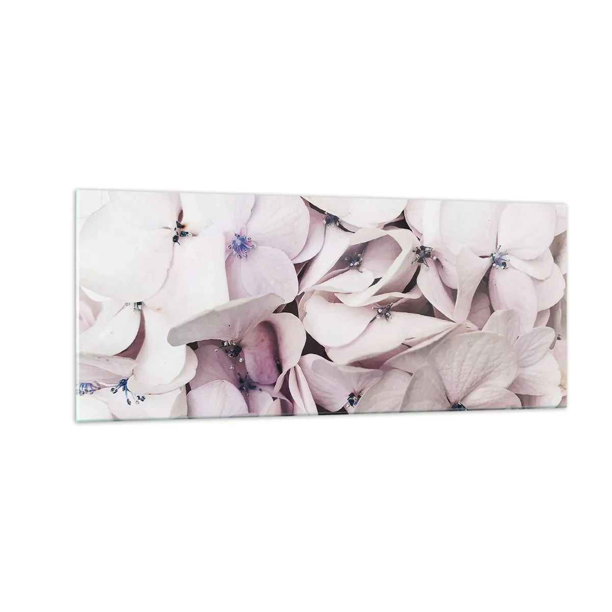 Impression sur verre - Image sur verre - Dans un flot de fleurs - 100x40 cm