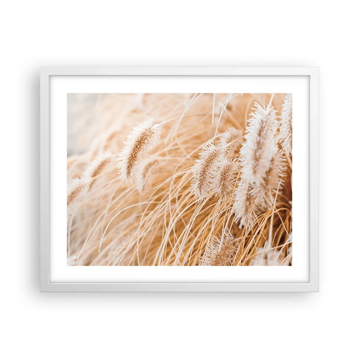 Affiche dans un cadre blanc - Poster - Le bruissement doré de l'herbe - 50x40 cm
