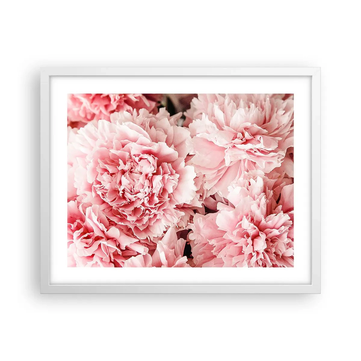 Affiche dans un cadre blanc - Poster - Rêve rose - 50x40 cm