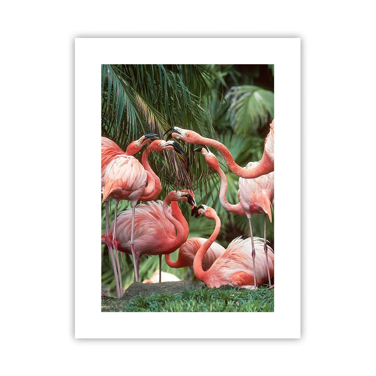 Affiche - Poster - Potins d'après-midi - 30x40 cm