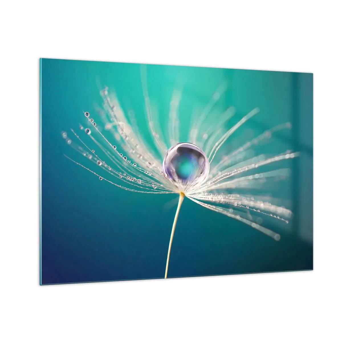 Impression sur verre - Image sur verre - Macrophotographie d'une graine de pissenlit avec une goutte de rosée sur un fond turquoise - 100x70cm - Moment mystique - Décoration murale moderne pour le salon et la chambre ARTTOR