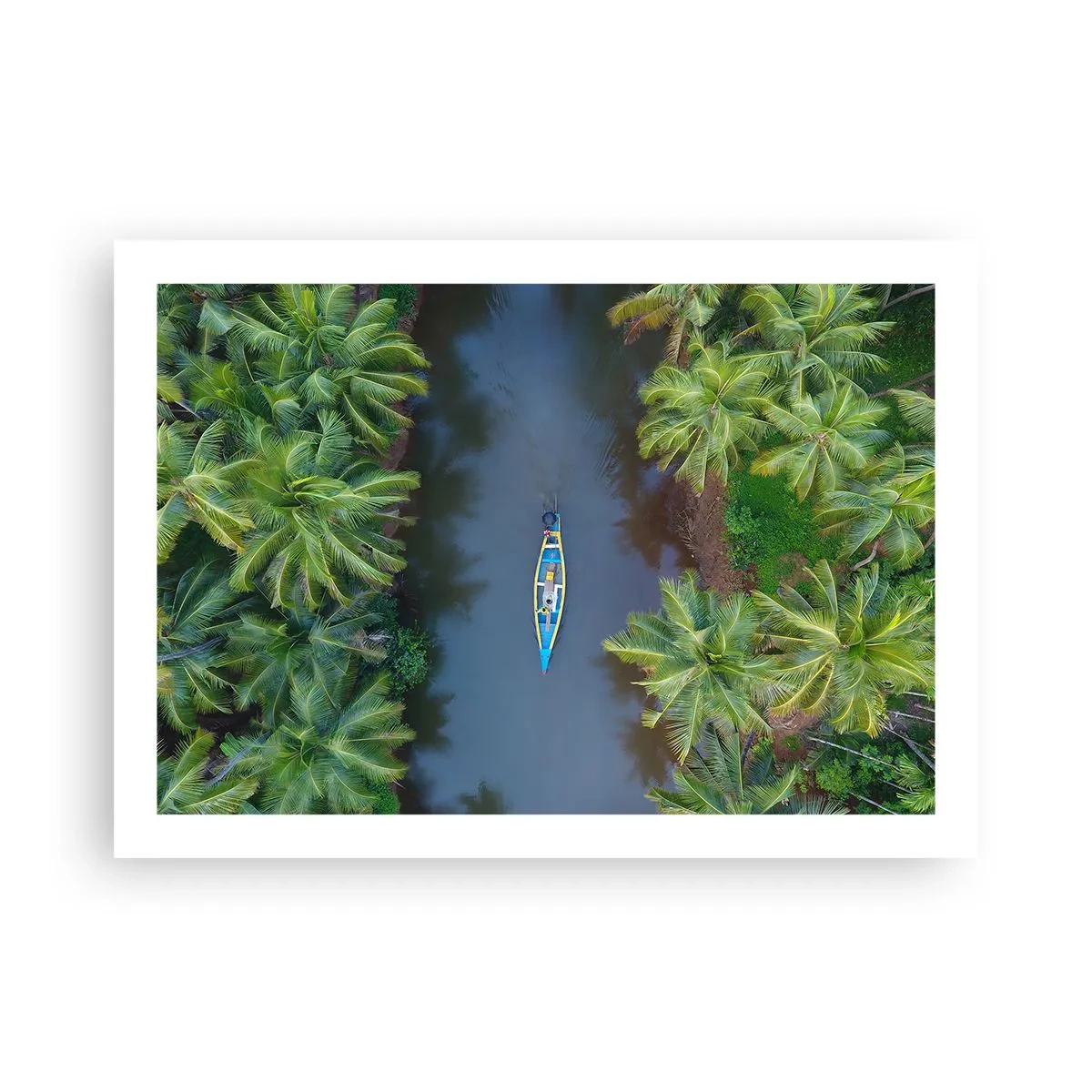 Affiche - Poster - Sur un sentier tropical - 70x50 cm