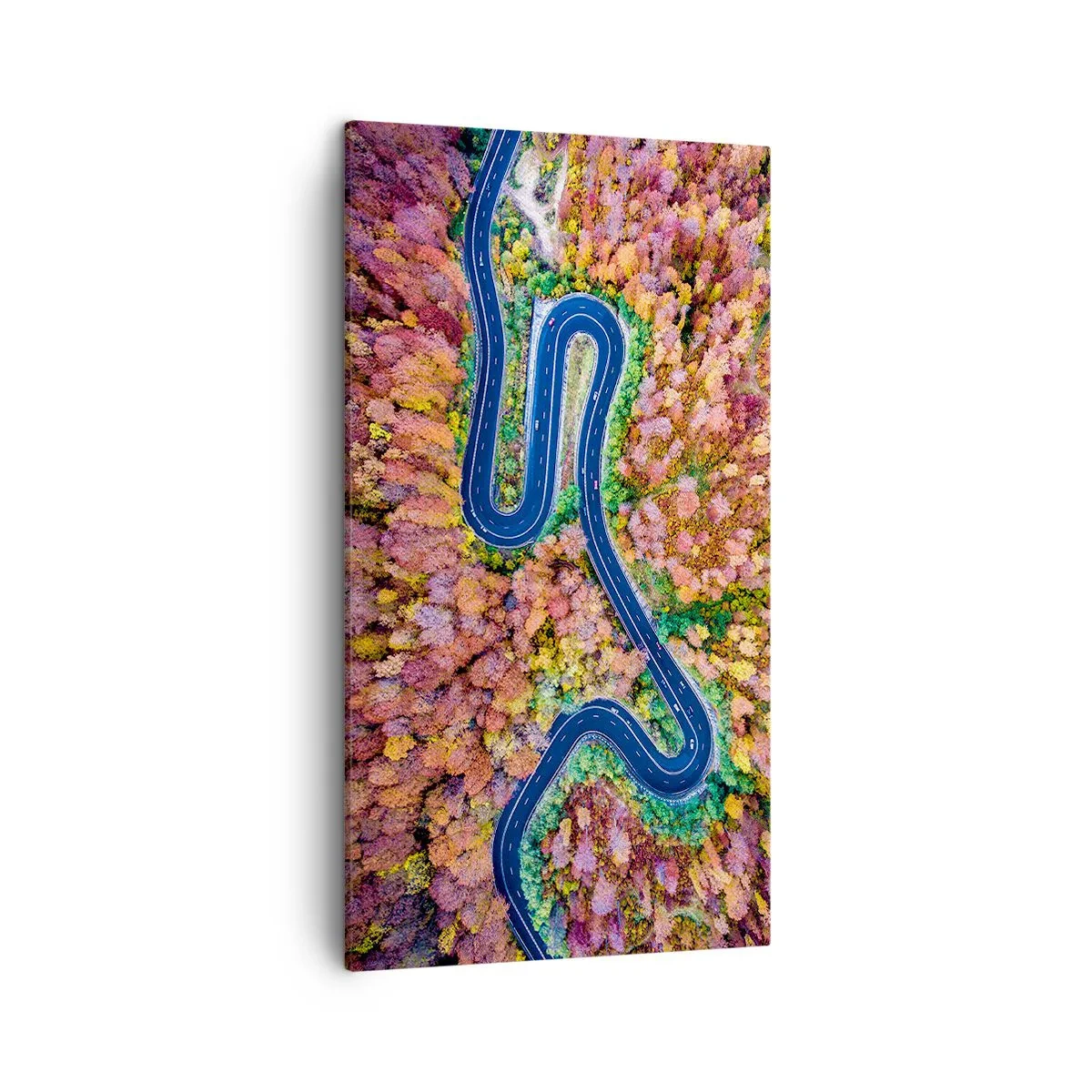 Impression sur toile - Image sur toile - Route sinueuse à travers la forêt - 45x80 cm