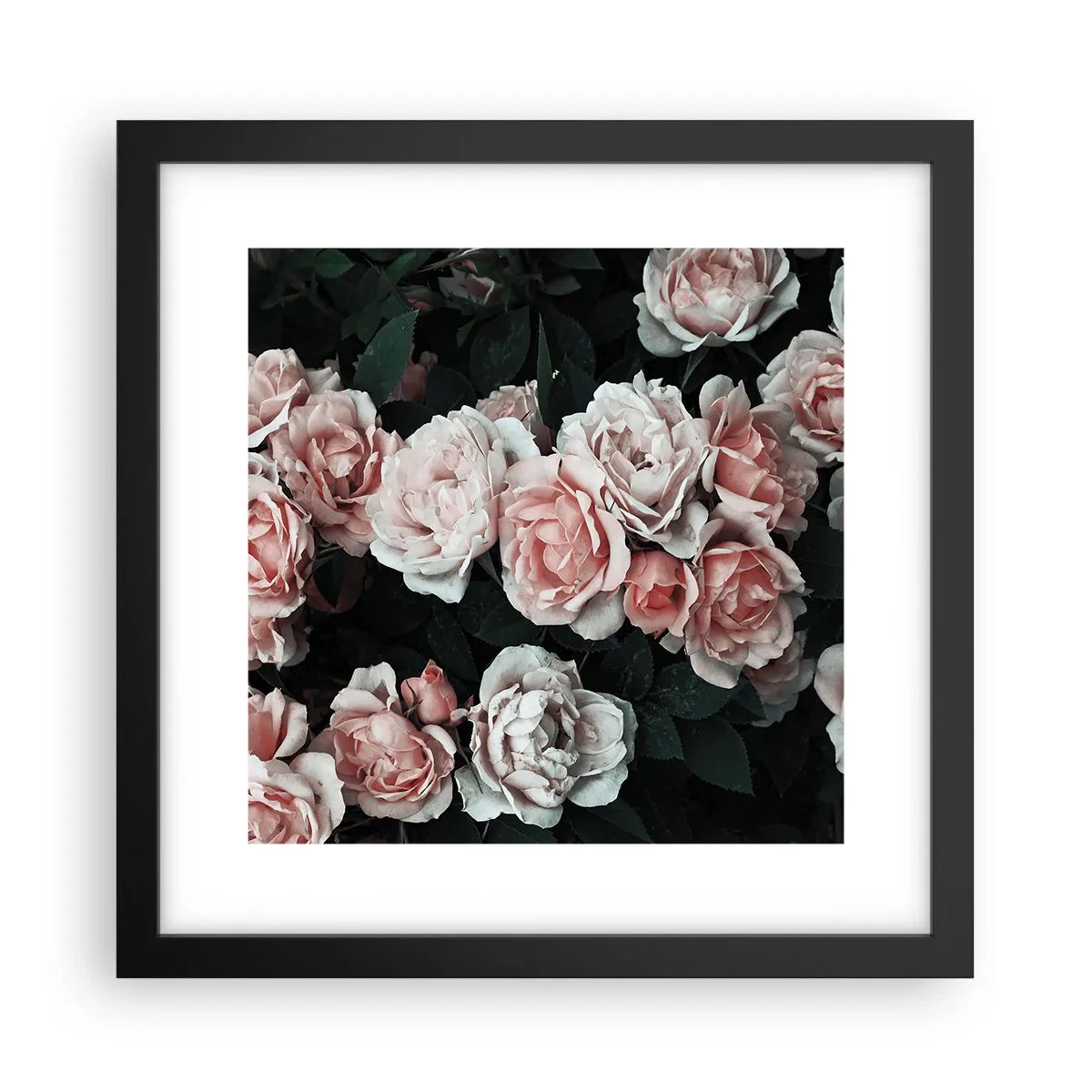 Affiche dans un cadre noir - Poster - Ensemble de rose - 30x30 cm