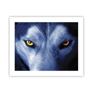 Affiche - Poster - Regars hypnotique - 50x40 cm