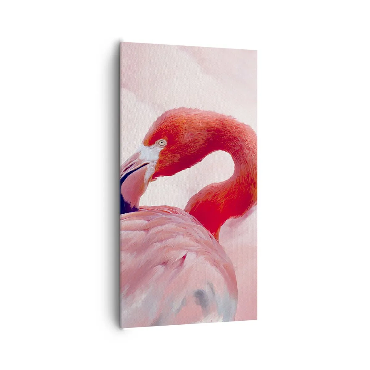 Impression sur toile - Image sur toile - Beauté des oiseaux - 65x120 cm