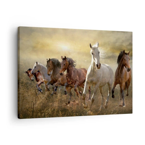 Impression sur toile - Image sur toile - Un groupe de chevaux au galop sur fond de soleil couchant - 70x50cm - Vive la liberté! - Décoration murale moderne pour le salon et la chambre ARTTOR