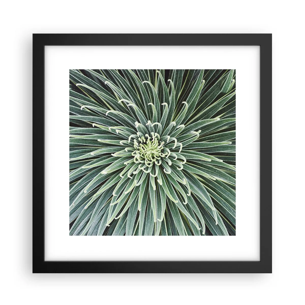 Affiche dans un cadre noir - Poster - Naissance d'une étoile - 30x30 cm