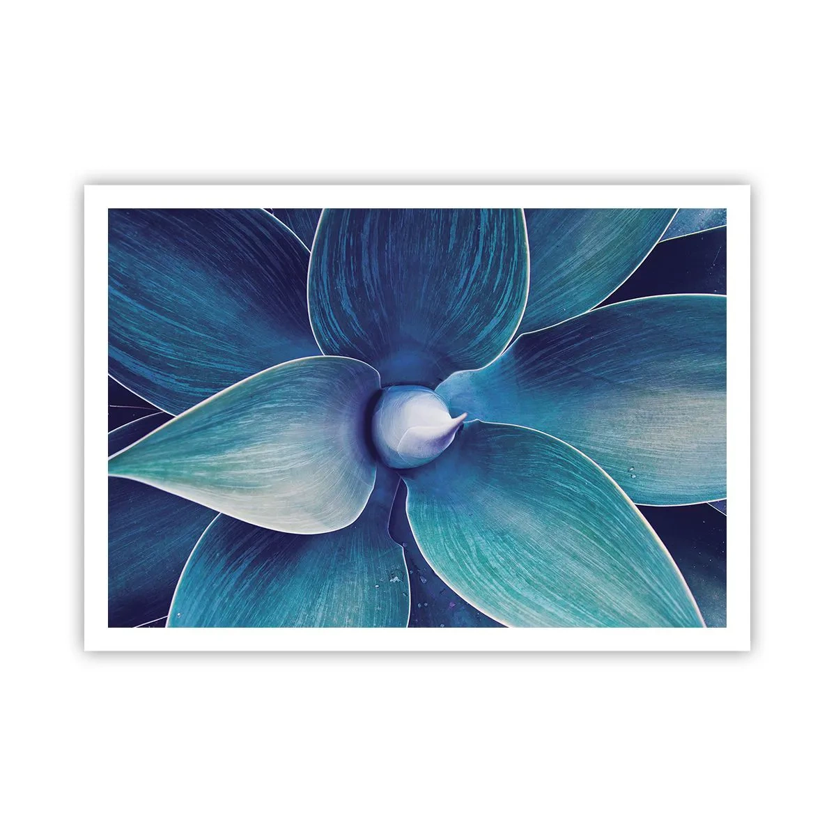 Affiche - Poster - Gros plan d'une fleur abstraite dans des tons de bleu - 100x70cm - Le bleu du ciel - Décoration murale moderne pour le salon et la chambre ARTTOR