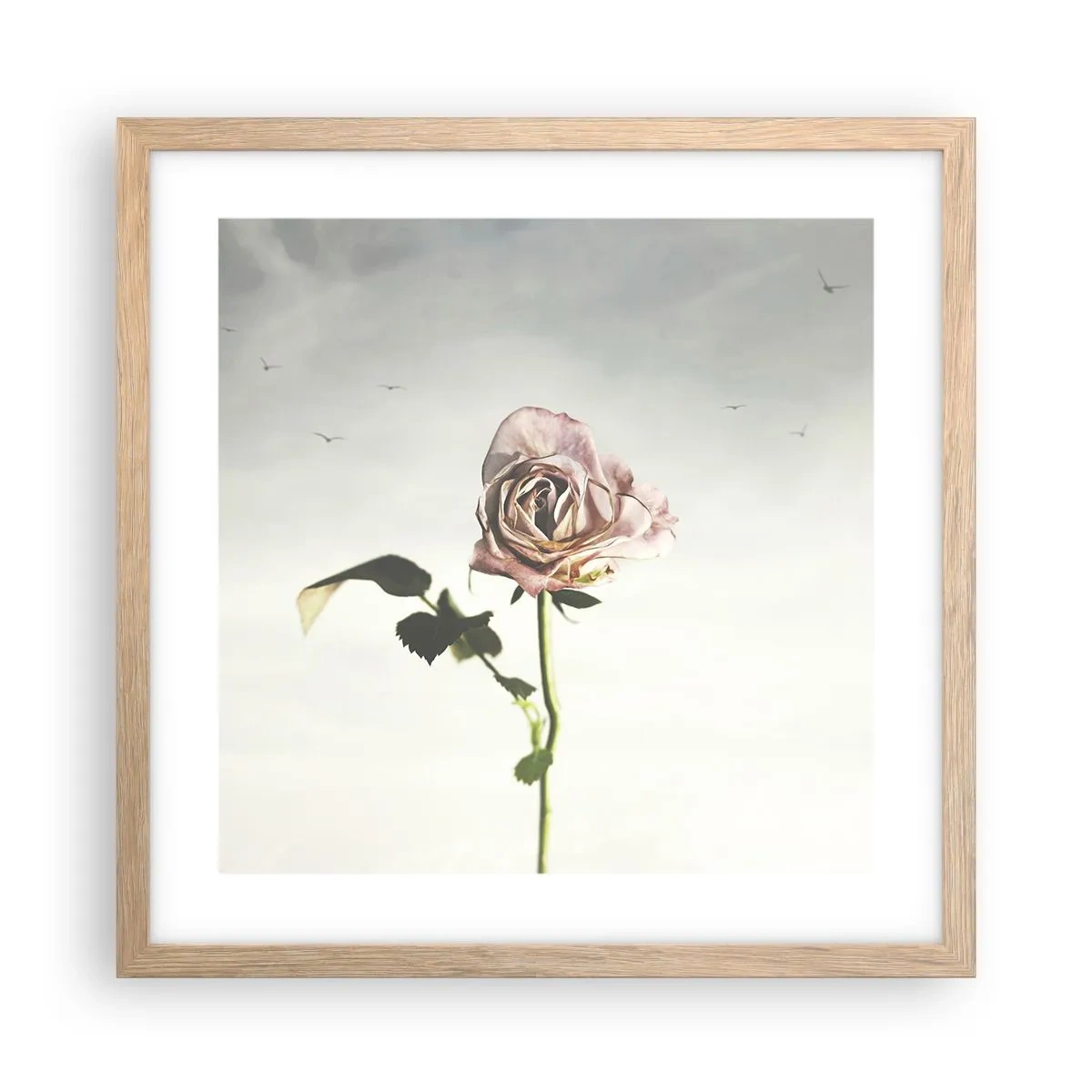 Affiche dans un chêne clair - Poster - Bonjour de printemps - 40x40 cm