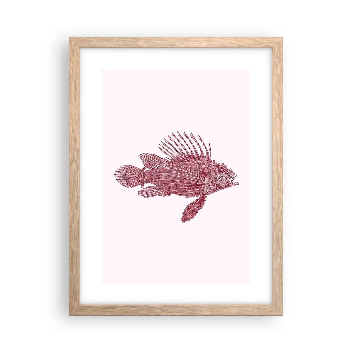 Affiche dans un chêne clair - Poster - Un habitant des eaux exotiques - 30x40 cm