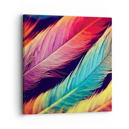 Impression sur toile - Image sur toile - Arc-en-ciel de plumes - 40x40 cm
