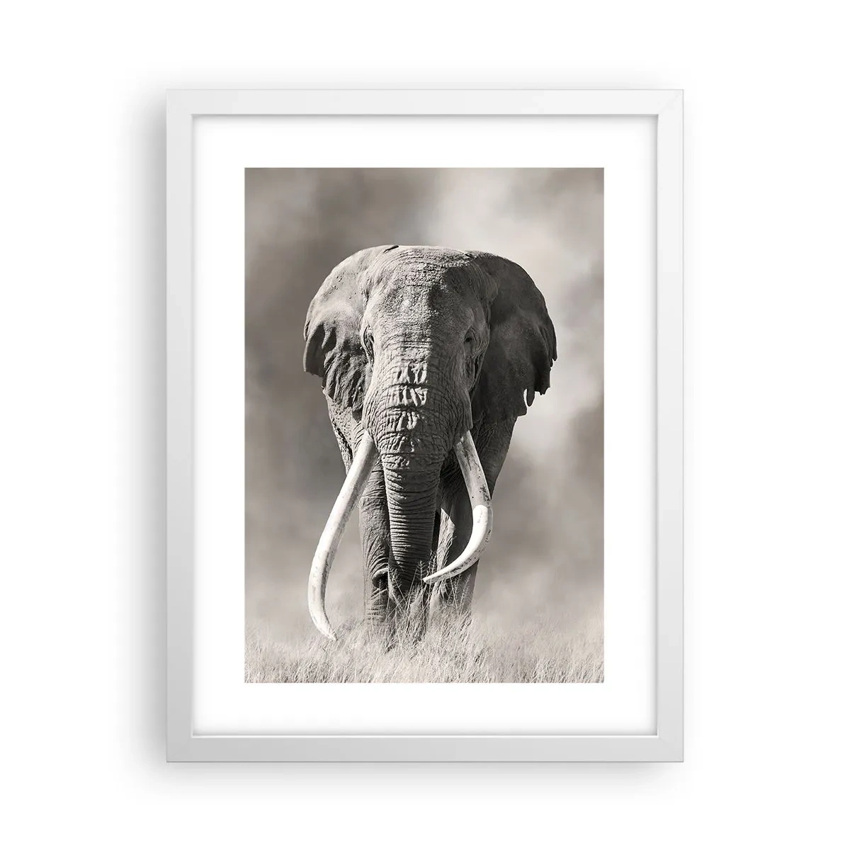 Affiche dans un cadre blanc - Poster - Patriarche africain - 30x40 cm