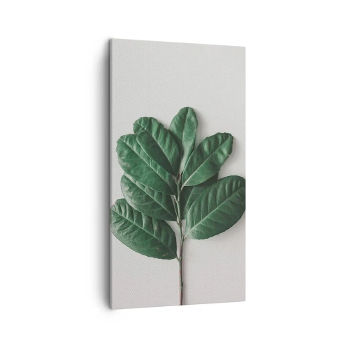 Impression sur toile - Image sur toile - Dessin de la nature elle-même - 45x80 cm