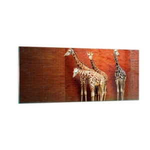 Impression sur verre - Image sur verre - Voyez-vous des acacias ? - 100x40 cm