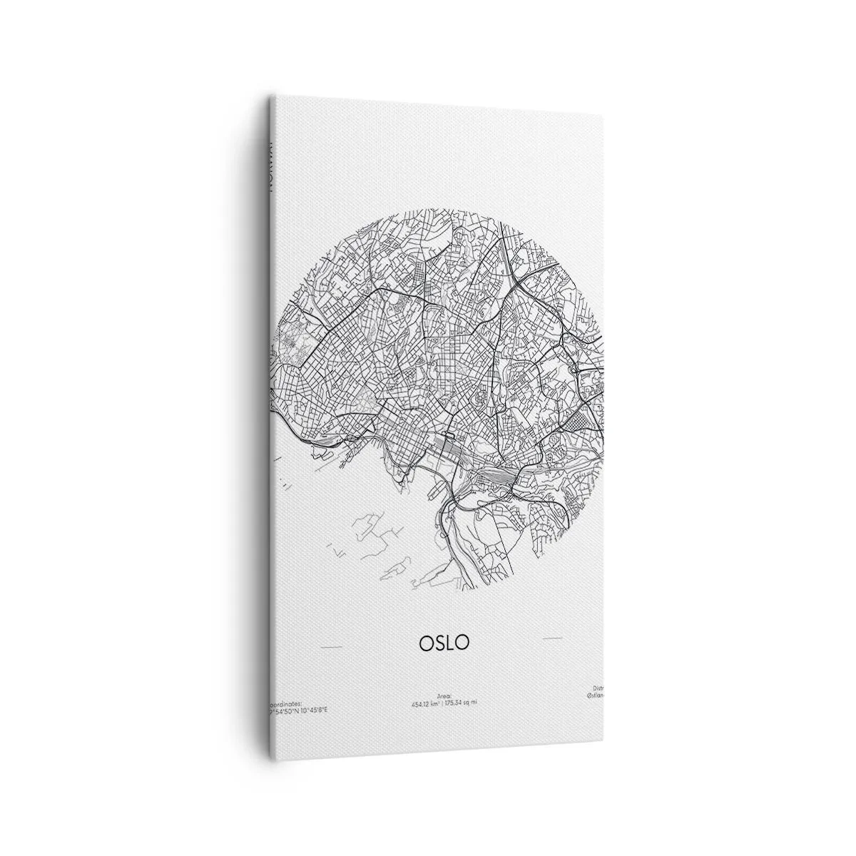 Impression sur toile - Image sur toile - Anatomie d’Oslo - 45x80 cm