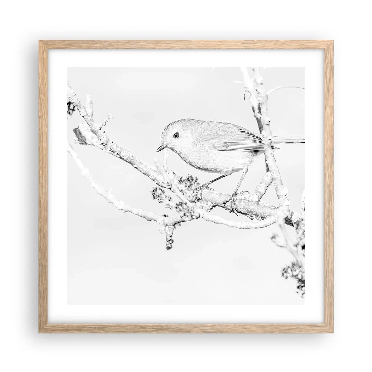 Affiche dans un chêne clair - Poster - Matin d'hiver - 50x50 cm