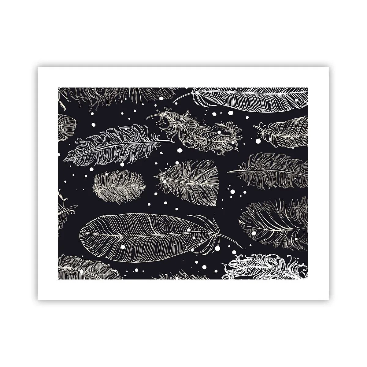 Affiche - Poster - Toile de plumes - 50x40 cm