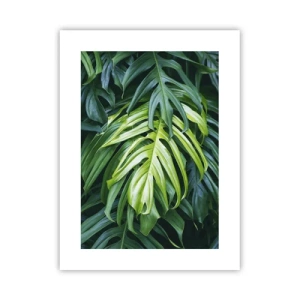 Affiche - Poster - Immergez-vous dans la fraîcheur - 30x40 cm