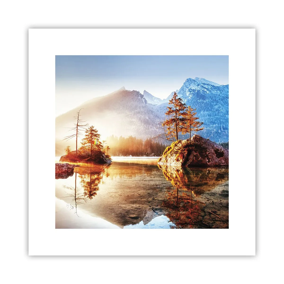 Affiche - Poster - La nature sous un nouveau jour - 30x30 cm