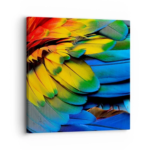 Impression sur toile - Image sur toile - Oiseau de paradis - 30x30 cm