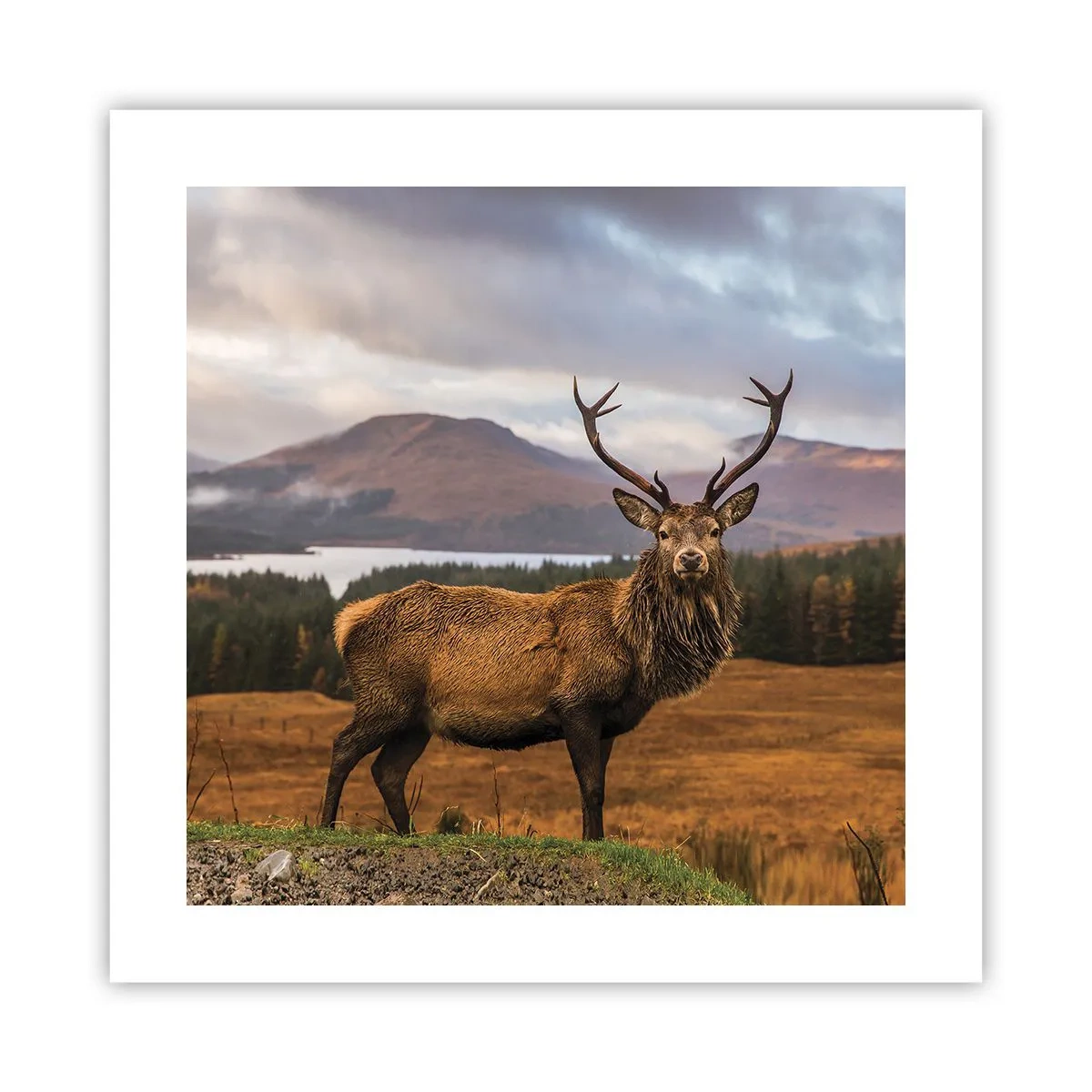 Affiche - Poster - Majesté de la nature - 40x40 cm